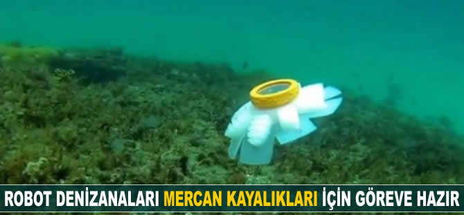 Robot denizanaları, mercan kayalıkları için göreve hazır