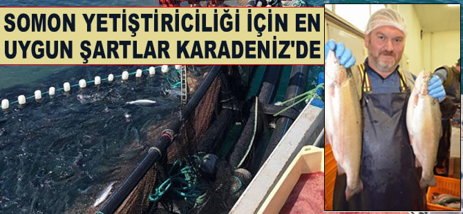 Somon yetiştiriciliği için en uygun şartlar Karadeniz’de!