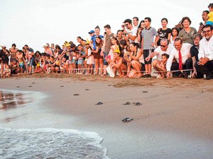 Kaplumbağaları Koruma Cemiyeti yaban hayatını gözlemledi