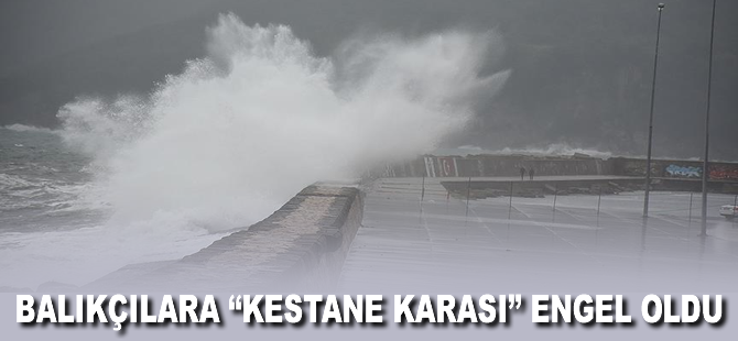 Balıkçılara "Kestane Karası" engel oldu