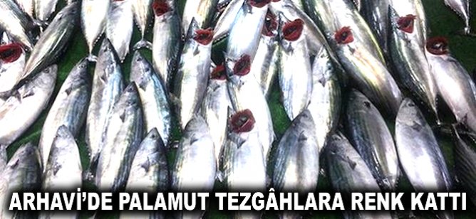 Arhavi'de Palamut tezgâhlara renk kattı