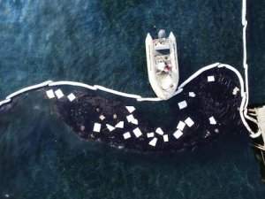 Foça'da petrolün kirlettiği deniz temizlendi