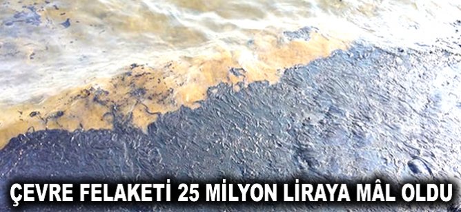 Çevre felaketi 25 milyon liraya mâl oldu