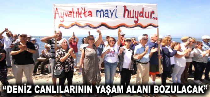 "Deniz canlılarının yaşam alanı bozulacak"