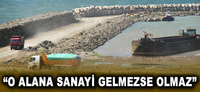 Fuat Köktaş: "O alana sanayi gelmezse olmaz"
