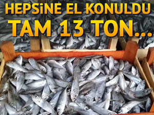 Bursa'da 13 ton balığa el konuldu