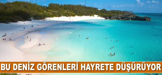 Dünyanın hiçbir yere kıyısı olmayan denizi: Sargasso Denizi...