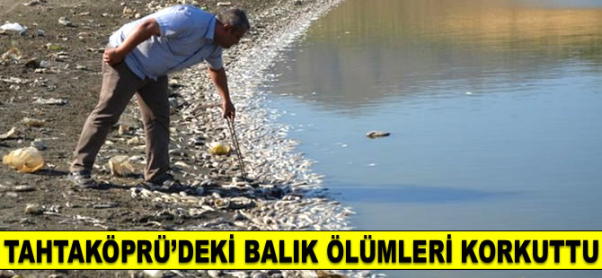 Tahtaköprü Barajı’ndaki balık ölümleri korkuttu