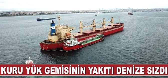 İstanbul'da SWAN adlı kuru yük gemisinin yakıtı denize sızdı