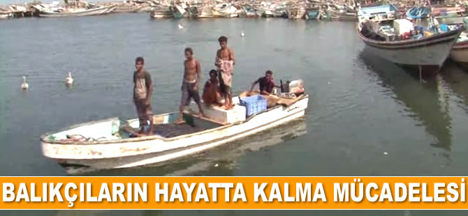 Yemenli balıkçıların hayatta kalma mücadelesi