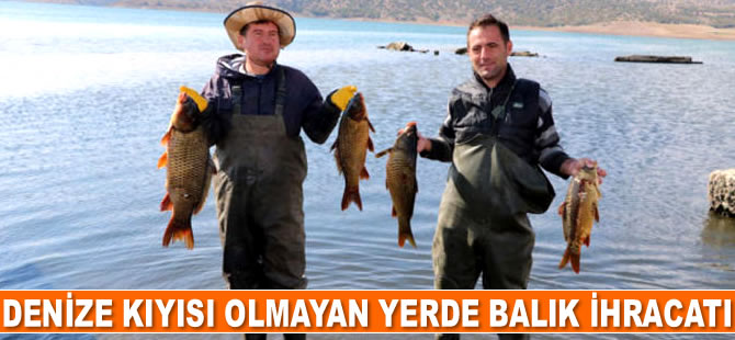 Yozgat’tan Avrupa ve Orta Doğu ülkelerine balık ihracatı