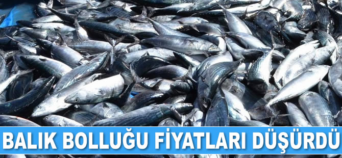 Palamut bolluğu fiyatları düşürdü