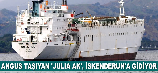 Angus taşıyan ‘Julia Ak’, rotasını İskenderun’a çevirdi