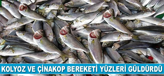 Balıkesir’de kolyoz ve çinakop bereketi