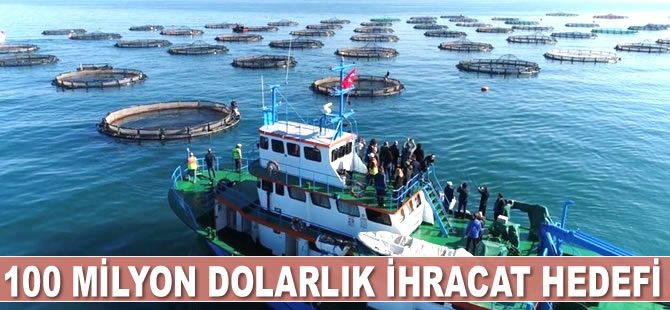ABD'ye 100 milyon dolarlık ihracat hedefi