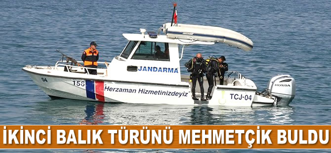 Van Gölü’nde ikinci balık türünü Mehmetçik buldu
