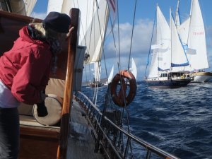 Yelken yarışlarına yunus balıkları damga vurdu