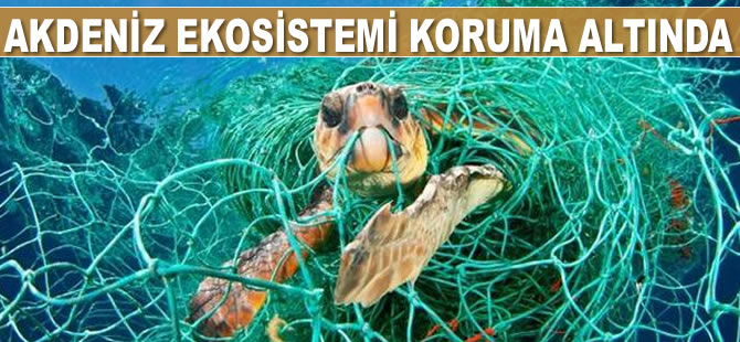 Akdeniz ekosistemi koruma altında