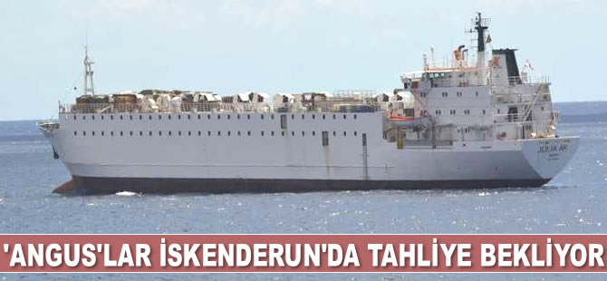Angus taşıyan ‘Julia AK’, İskenderun’da tahliye izni bekliyor