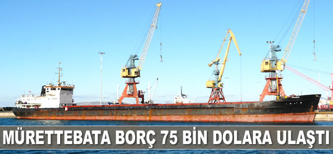 'Streamline' adlı kuru yük gemisinin mürettebatına olan borç 75 bin dolara ulaştı