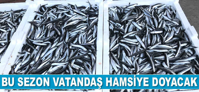 Bu sezon vatandaş hamsiye doyacak