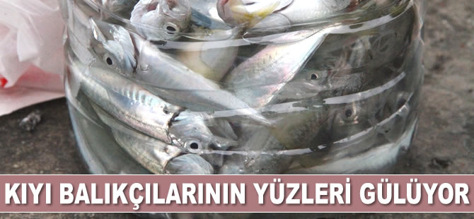 Düzce’de kıyı balıkçılarının yüzleri gülüyor