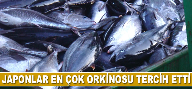 Orkinos ihracatı en çok Japonya’ya yapılıyor