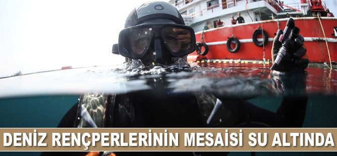 Deniz rençperlerinin ömrü su altında geçiyor