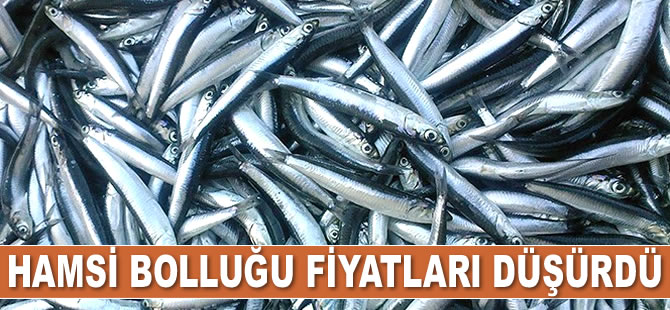 Bandırma’da hamsi bolluğu fiyatları düşürdü