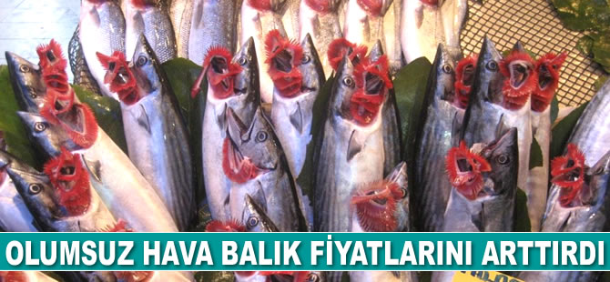 Karadeniz’de olumsuz hava koşulları balık fiyatlarını artırdı
