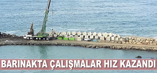 Cide Denizkonak Balıkçı Barınağı’nda çalışmalar hız kazandı