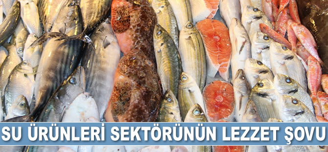 Amerikalılar, Türk levreği ve çipurasına hayran kaldı