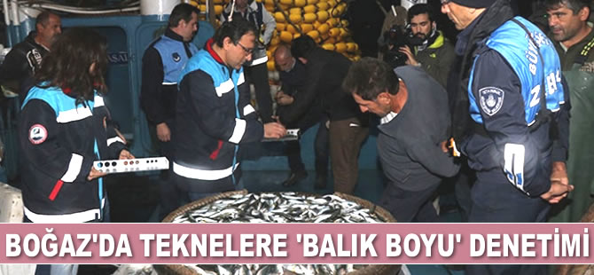 İstanbul Boğazı'nda ‘balık boyu’ denetimi