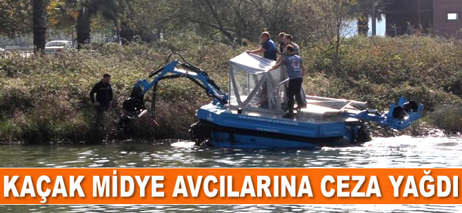 İzmit’te kaçak midye avcılarına ceza yağdı