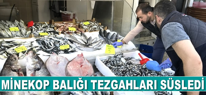 Minekop balığı tezgahları süsledi