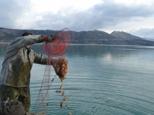 Eğirdir Gölü'nde kerevit avında yasak başladı