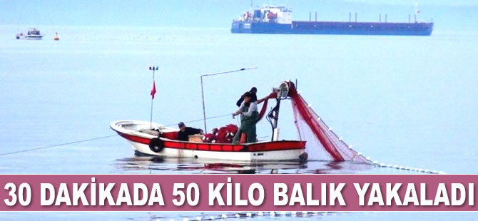 Bandırma Körfezi'ne ağ attı, 30 dakikada 50 kilo balık yakaladı