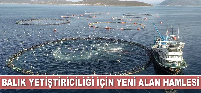 Alabalık, levrek ve çipura için yeni alanlar belirlenecek