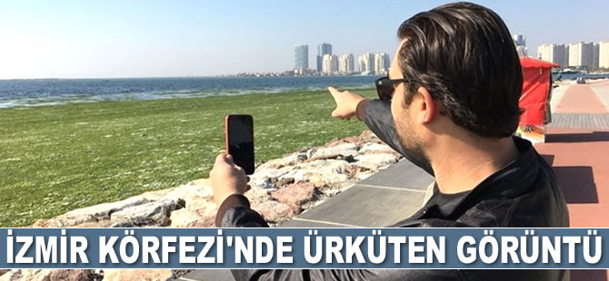 İzmir Körfezi’ndeki alg patlaması korkuttu