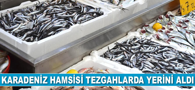 Karadeniz hamsisi tezgahlarda yerini aldı