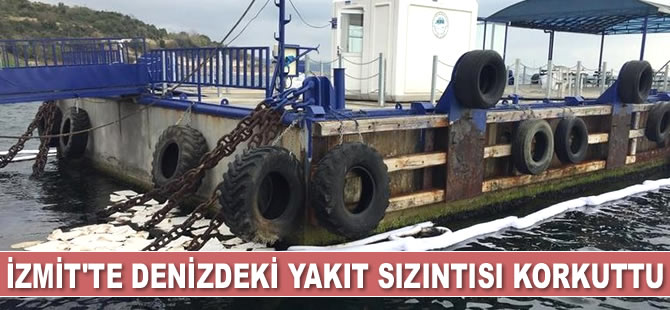 İzmit Körfezi'ndeki yakıt sızıntısı korkuttu
