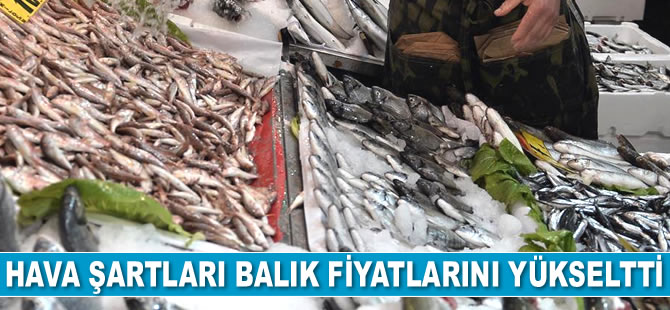 Hava şartları balık fiyatlarını yükseltti