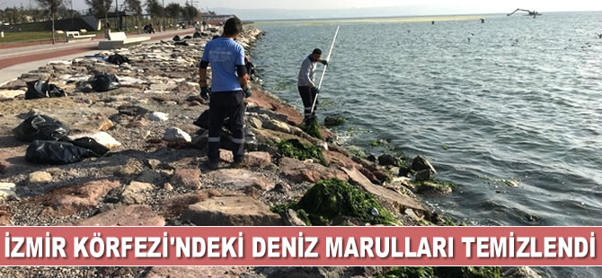 İzmir Körfezi’ndeki deniz marulları temizlendi