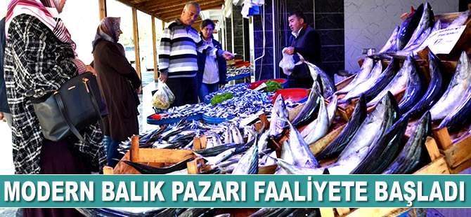 İznik'te Modern Balık Pazarı faaliyete başladı