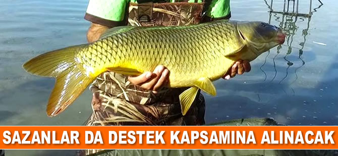 Sazan balığı destek kapsamına alınacak