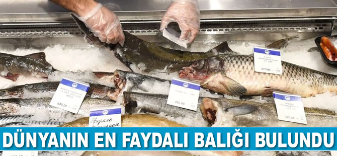 Sibirya’da dünyanın en faydalı balığı bulundu