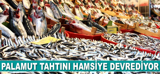 Palamut tahtını hamsiye devrediyor