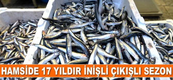 Son 17 yıldır hamside inişli çıkışlı av sezonları yaşanıyor