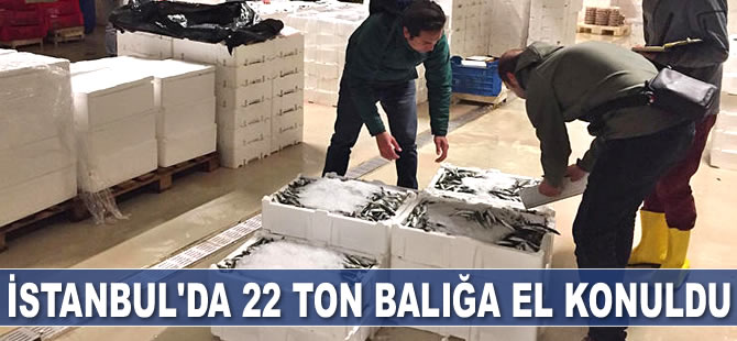 İstanbul’da 22 ton balığa el konuldu