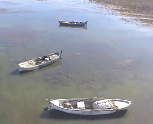 Manisa'daki Marmara Gölü yok olma tehdidi altında